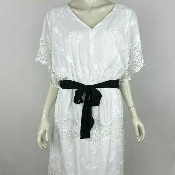 Ann Taylor Dresses & Skirts - Ann Taylor Lace Belted Dress V-neck Lined Embroidered‎ Cotton Women 12 NWT $169